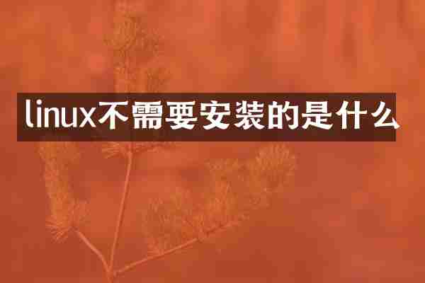linux不需要安装的是什么