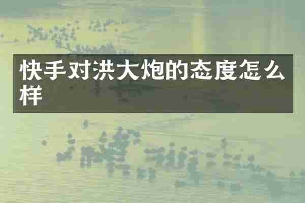 快手对洪大炮的态度怎么样