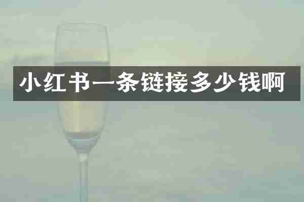 小红书一条链接多少钱啊