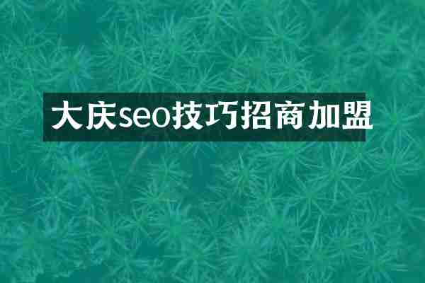 大庆seo技巧招商加盟