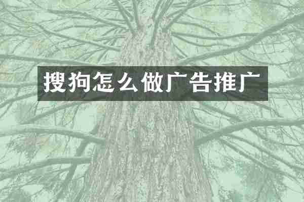 搜狗怎么做广告推广