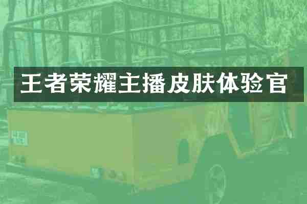 王者荣耀主播皮肤体验官