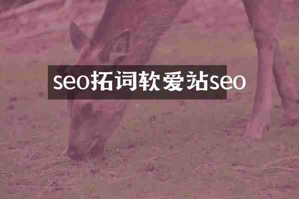 seo软爱站seo