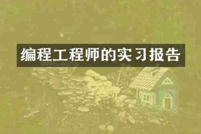 编程工程师的实习报告