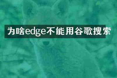 为啥edge不能用谷歌搜索