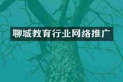 聊城教育行业网络推广