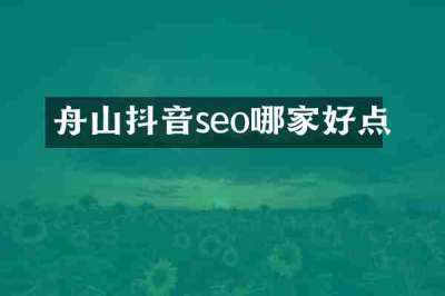 舟山抖音seo哪家好点