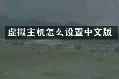虚拟主机怎么设置中文版