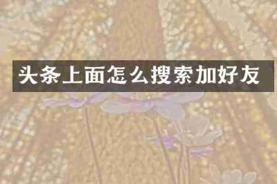 头条上面怎么搜索加好友