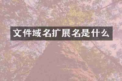 文件域名扩展名是什么