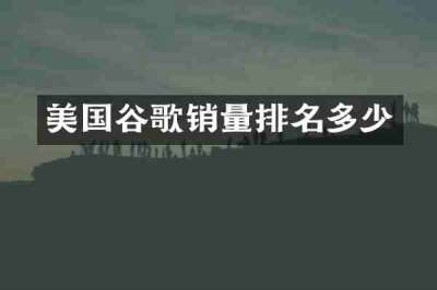 美国谷歌销量排名多少