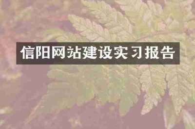 信阳网站建设实习报告