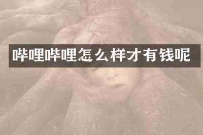 哔哩哔哩怎么样才有钱呢