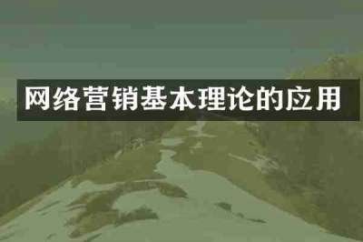 网络营销基本理论的应用