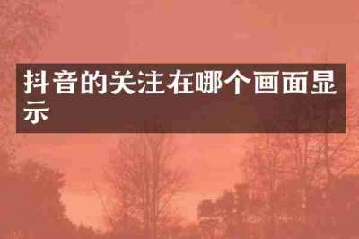 抖音的关注在哪个画面显示
