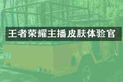 王者荣耀主播皮肤体验官