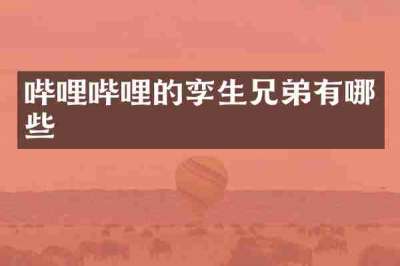 哔哩哔哩的孪生兄弟有哪些