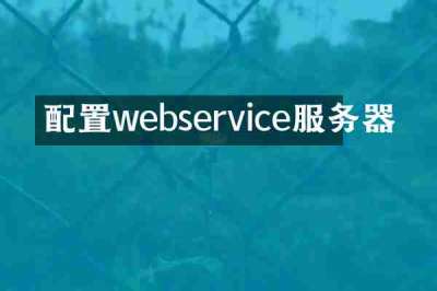 配置webservice服务器