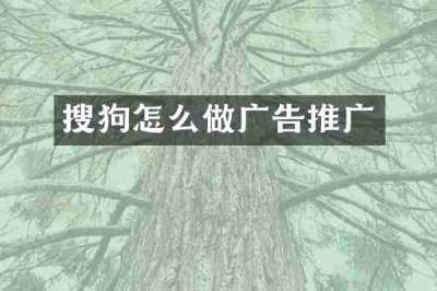 搜狗怎么做广告推广