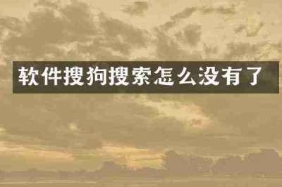 软件搜狗搜索怎么没有了
