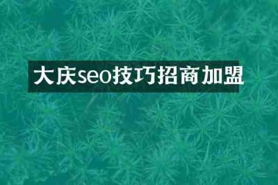 大庆seo技巧招商加盟