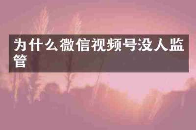 为什么微信视频号没人监管