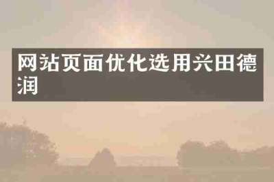 网站页面优化选用兴田德润