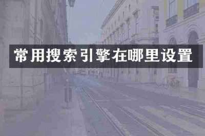 常用搜索引擎在哪里设置
