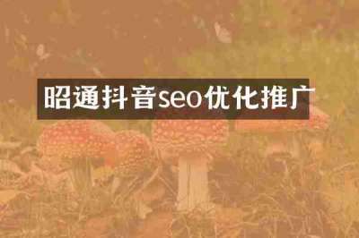 昭通抖音seo优化推广
