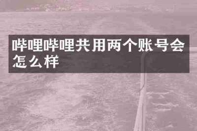 哔哩哔哩共用两个账号会怎么样