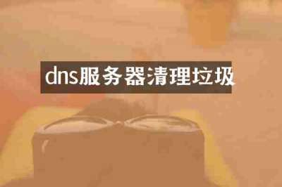 dns服务器清理垃圾