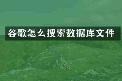 谷歌怎么搜索数据库文件