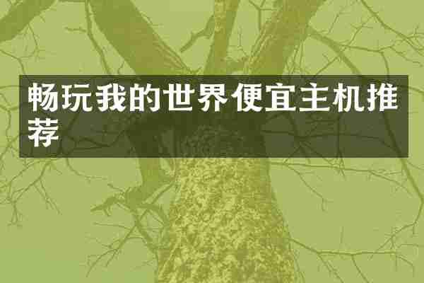 畅玩我的世界便宜主机推荐