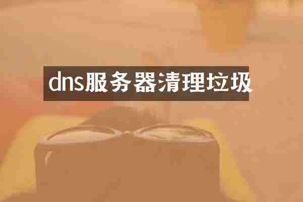 dns服务器清理垃圾