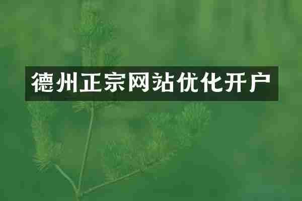 德州正宗网站优化开户