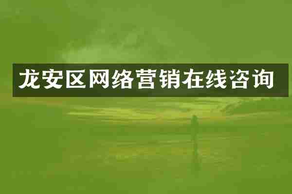 龙安区网络营销在线咨询