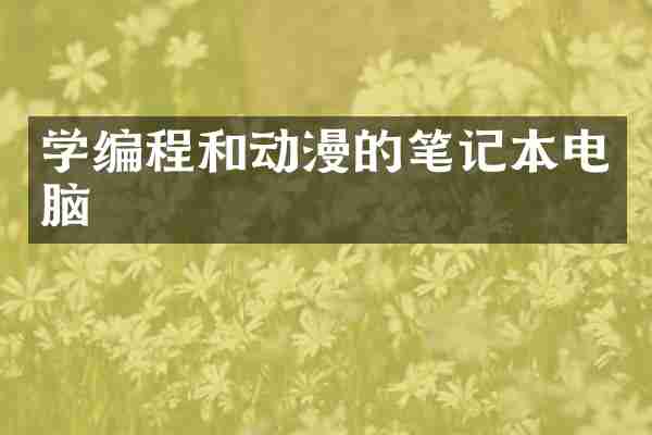 学编程和动漫的笔记本电脑