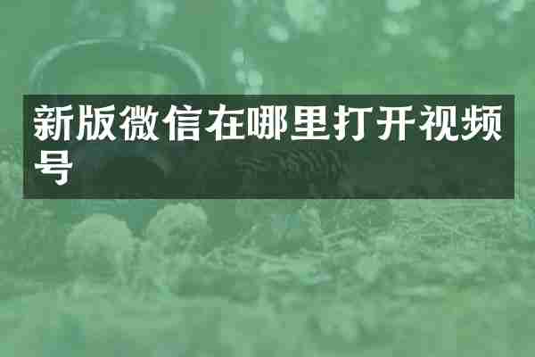 新版微信在哪里打开视频号