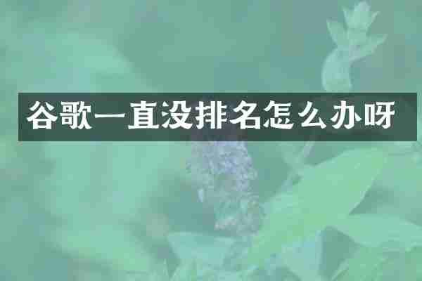 谷歌一直没排名怎么办呀