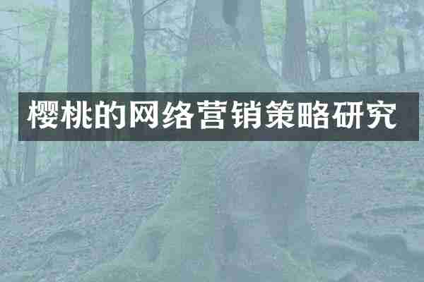 樱桃的网络营销策略研究