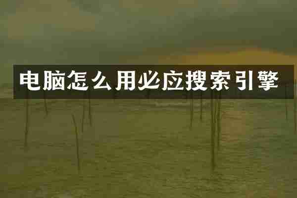 电脑怎么用必应搜索引擎