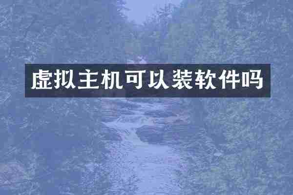虚拟主机可以装软件吗