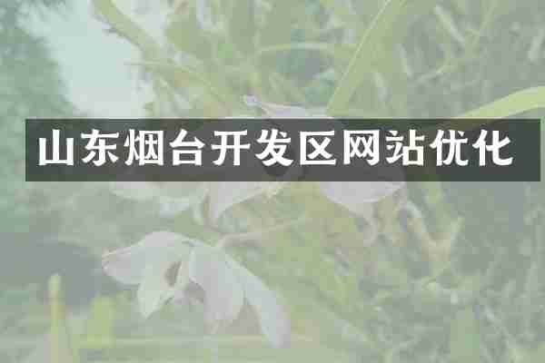 山东烟台开发区网站优化