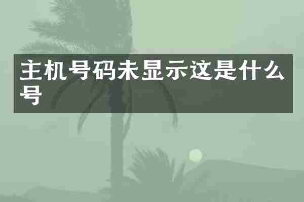 主机号码未显示这是什么号