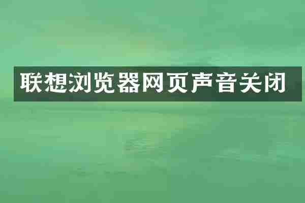 联想浏览器网页声音关闭