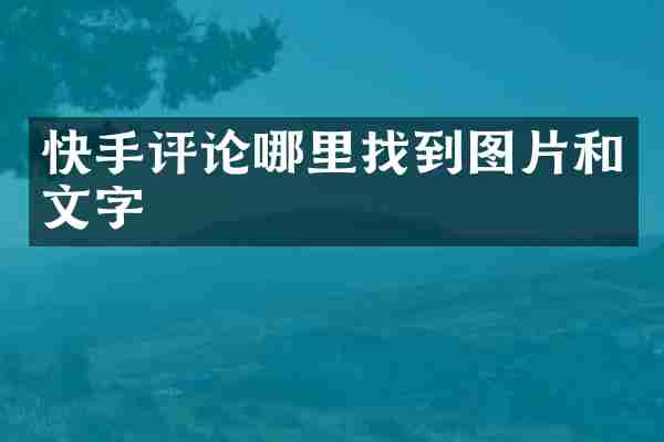 快手评论哪里找到图片和文字