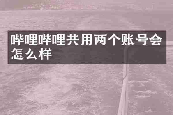 哔哩哔哩共用两个账号会怎么样