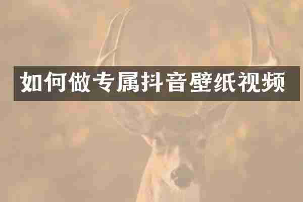 如何做专属抖音壁纸视频