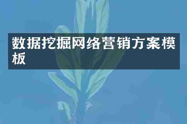 数据挖掘网络营销方案模板