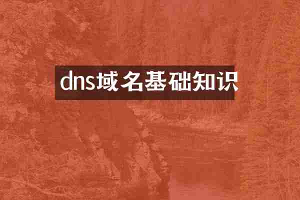 dns域名基础知识